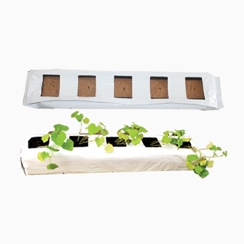 cocopeat-naked-slab
