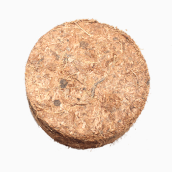 round-disc-9CM