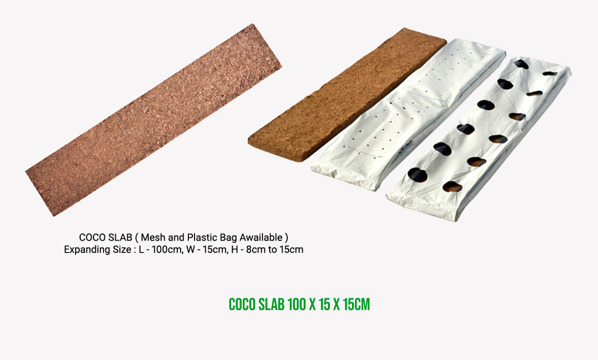 coco-slab-only-100-15-15-cm