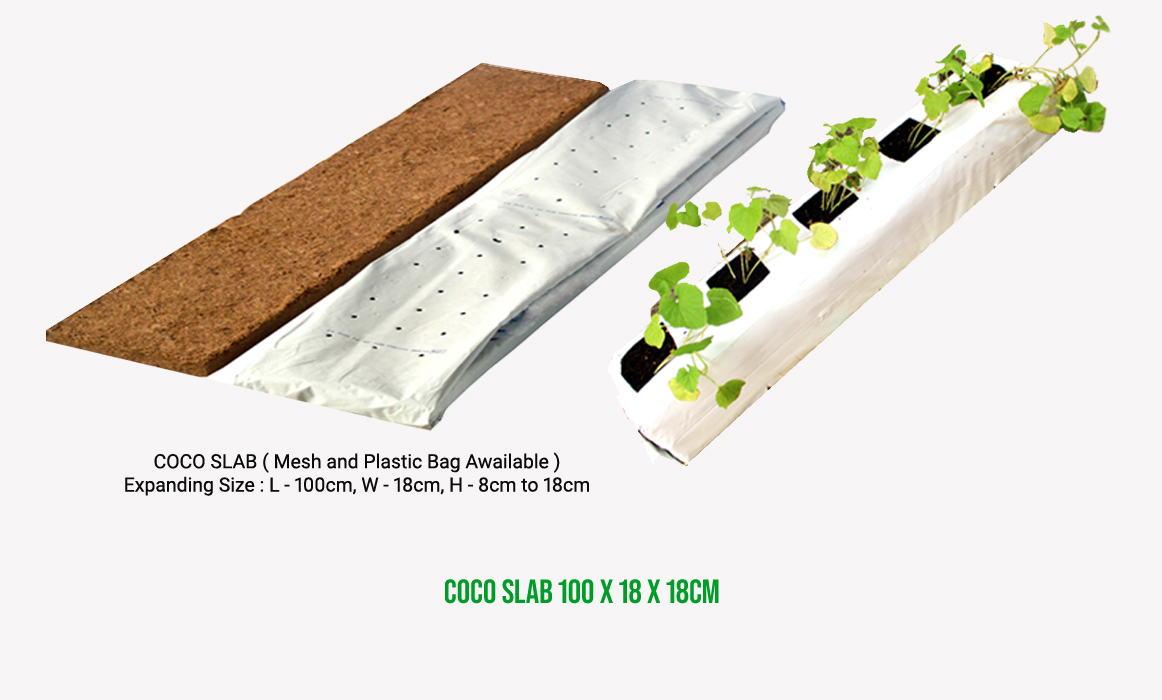 coco-slab-only-100-18-18-cm-100-coco-pith