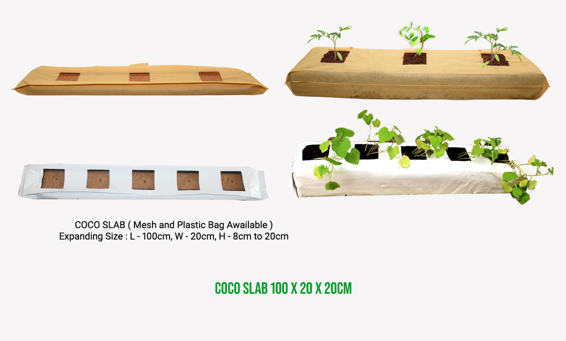 coco-slab-only-100-20-20-cm